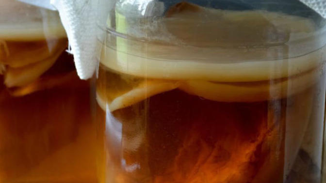 Kombu (kombucha) çayının faydalarını biliyor musunuz? Kullanıyor musunuz?
