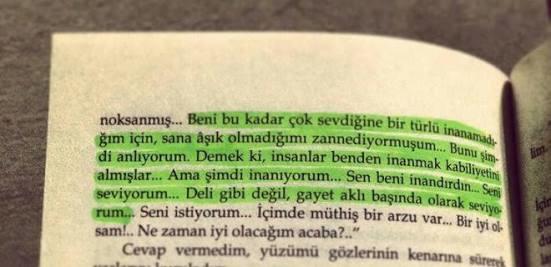 Sizce doğru sevgi, deli gibi sevmekten mi yoksa aklı başında sevmekten mi geçer?