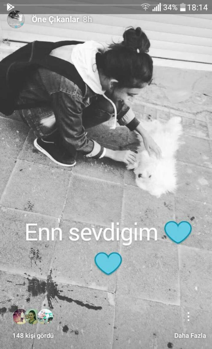 Köpekleri seven kızlar hakında düşünceniz?