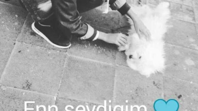 Köpekleri seven kızlar hakında düşünceniz?