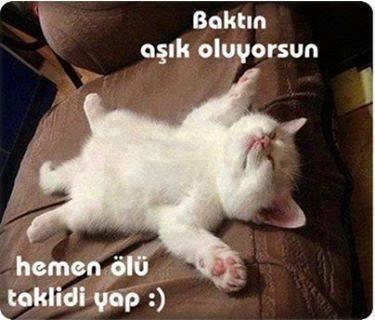 Aşk bir savaş mıdır?