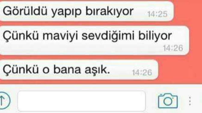 Görüldü atmayı küfür olarak sayıyor musunuz?
