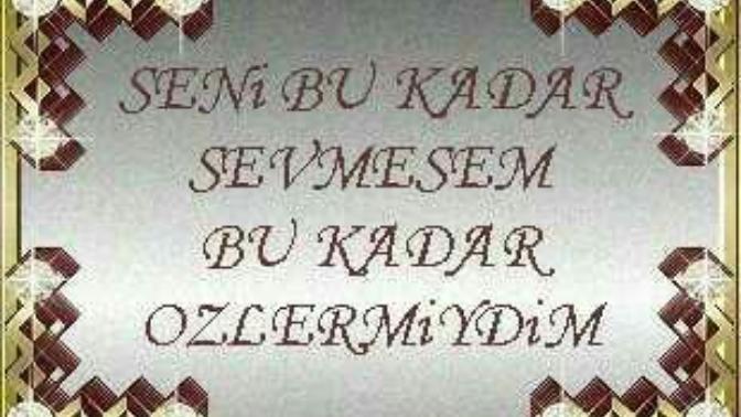Sevmeyen insan özler mi?