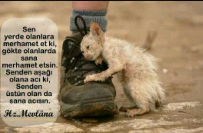 Merhamet etki merhamet bulasın. Çok zor olmasa gerek??