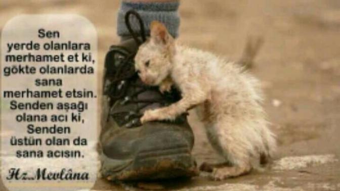Merhamet etki merhamet bulasın. Çok zor olmasa gerek?