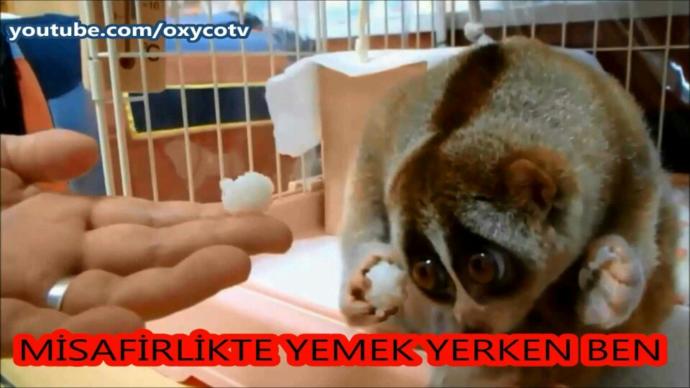 Misafirlikte yemek yemekten utananlardan mısınız??