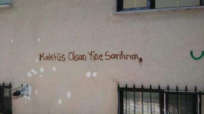 "Kaktüs olsan yine sarılırım" dediğiniz sevgiliniz sevginizi sorgularsa tavrınızı olur?