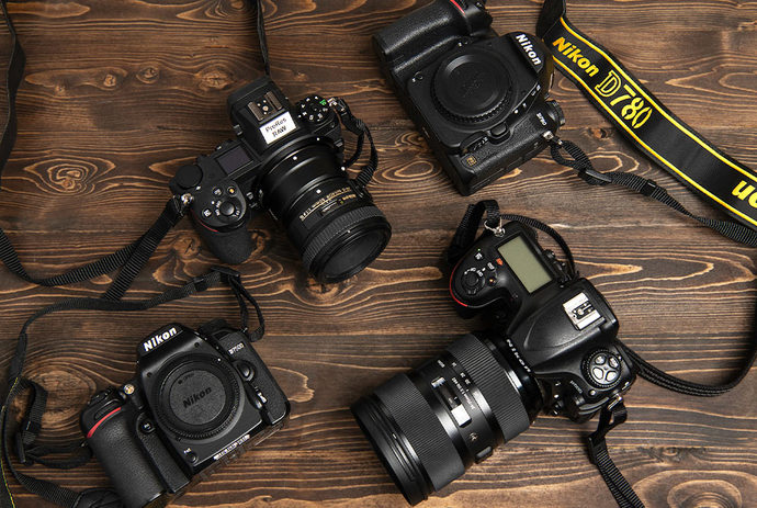 Hangi marka fotoğraf makinesi almalıyım? En iyisi hangisi?