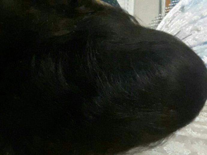 Kalem yardımıyla saç toplayabiliyor musunuz? Kalemle toplanmış saçları, çekici buluyor musunuz?