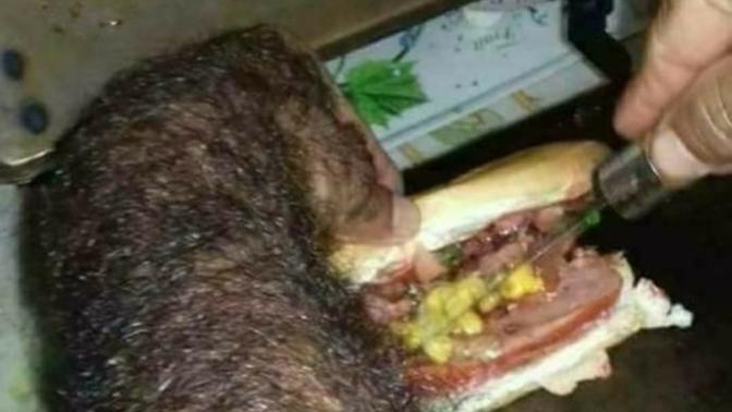 Sandiviç hazırladım, sandviç sever misiniz?