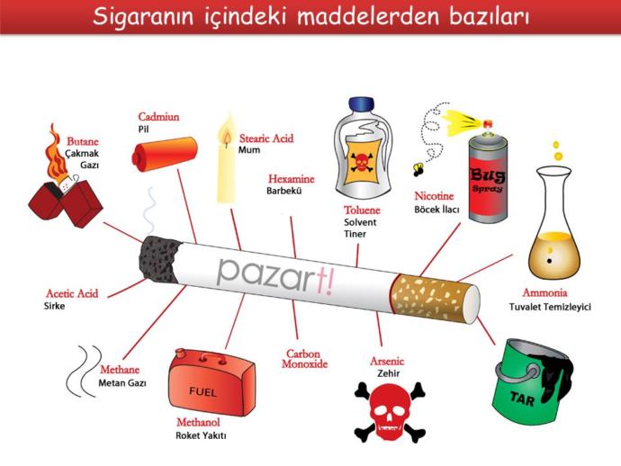 Sigaranın insan sağlığına ve rdiği zararları biliroyormuydunuz?