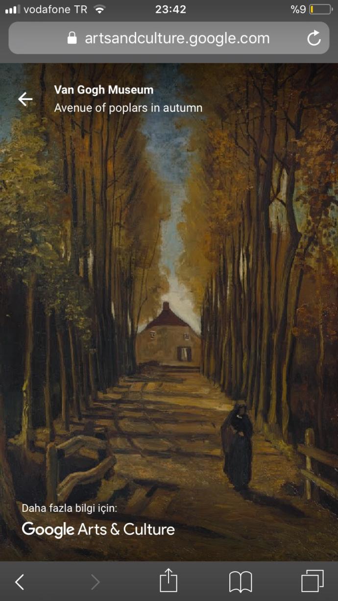 İyi ki doğdun Van Gogh! Ünlü ressamın hayat hikayesi sizde nasıl bir his uyandırıyor?