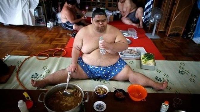 KScanlar sumo güreşçileri neden böyle şişman, zayıf olanı hiç yok, kadın sumo güreşçileri de şişman, neden bu sumocular şişman?