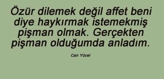 Pişman olan bir insan ne yaparsa gerçekten pişman olduğuna inanırsınız?