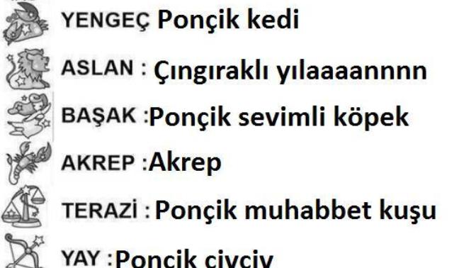 Burcunuza göre hangi hayvansiniz?