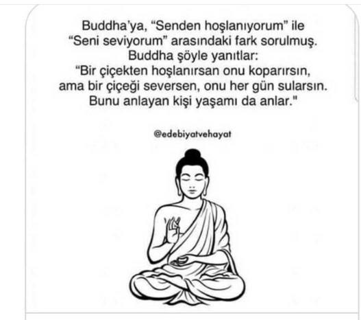 Senden hoşlanıyorum ile seni seviyorum arasındaki fark nedir??