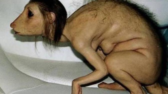 Aşağıdaki bu görüntü nün sadece bir bal mumu heykeli olduğunu biliyormuydunuz?