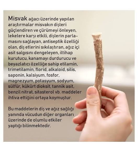 Misvağın faydaları saymakla bitmiyor, dişleri beyazlatma etkisi de var 