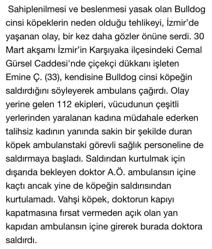 Arkadaşlar,bu sabah haberlerde bunu gördüm ve şaşırdım,bulldog cinsi köpek dünyanın enyavaş köpeği, nasıl saldırgan olabilir?