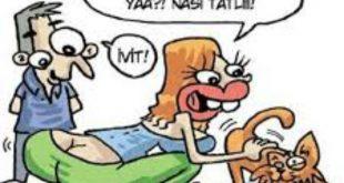 Genellikle güzel kalçalı kızların göğüsü küçük ve biçimli oluyor sizce de doğru mu değilmi? 