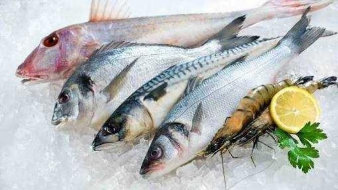 Size göre en lezzetli olan ve severek tükettiğiniz balık çeşitleri hangileridir?