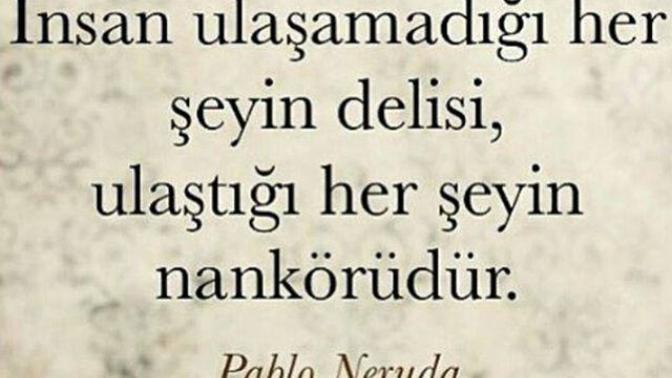 Bu aralar nankör mü takılıyorsun yoksa deli mi?