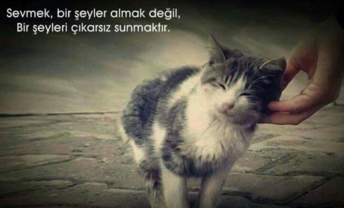 Sizce sevgi bir ihtiyaç mıdır yoksa bir lüks mü, ihtiyaç ise neden ihtiyaçtır lüks ise neden lükstür, size göre sevmek nedir?