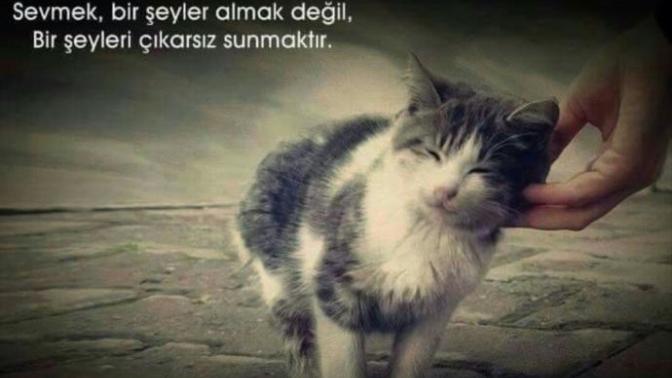 Sizce sevgi bir ihtiyaç mıdır yoksa bir lüks mü, ihtiyaç ise neden ihtiyaçtır lüks ise neden lükstür, size göre sevmek nedir?