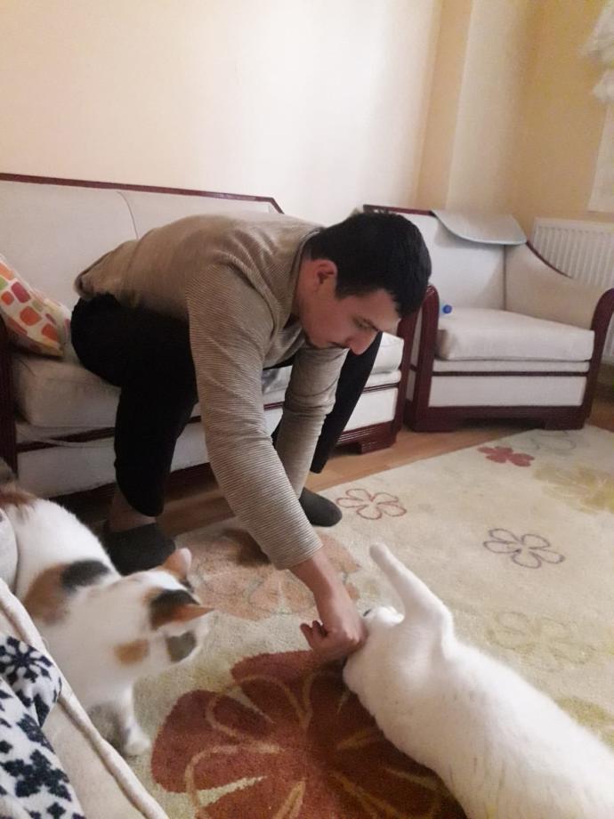 Evinde ponçik, minnoş, yumoş Kedi besleyen var mı?