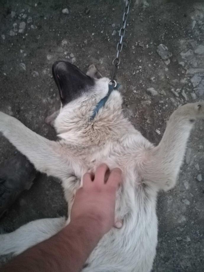 Sen onun neyisin? Onun için ne kadar değerlisin sence? söyledikleriyle hissettirdikleri aynı mı?
