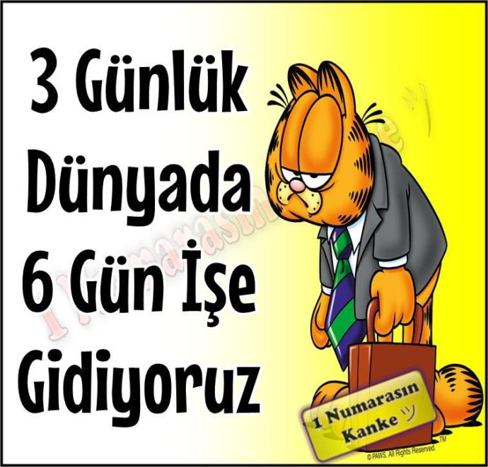 İlginç ve komik WhatsApp resimli mesajlarını buradan paylaşalımmı?