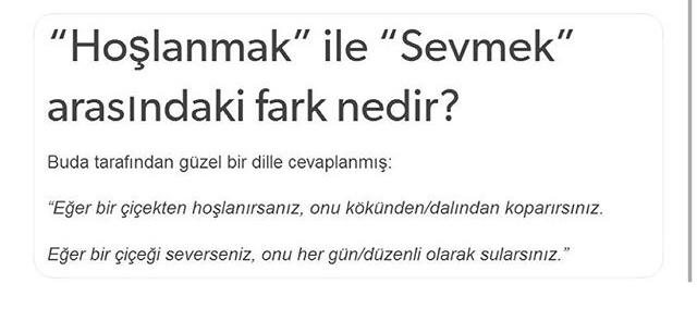 “hoşlanmak” ve “sevmek” arasındaki fark sizce ne olabilir?