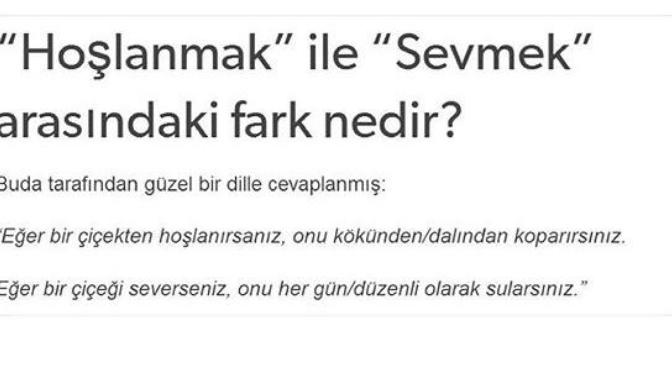 “hoşlanmak” ve “sevmek” arasındaki fark sizce ne olabilir?