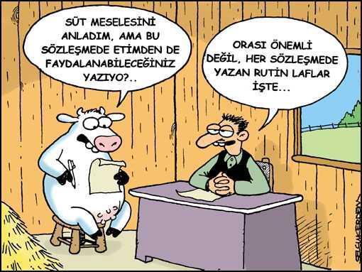 Ya bu deveyi güdeceksin ya da bu diyardan gideceksin hangisi?