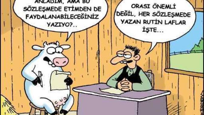 Ya bu deveyi güdeceksin ya da bu diyardan gideceksin hangisi?