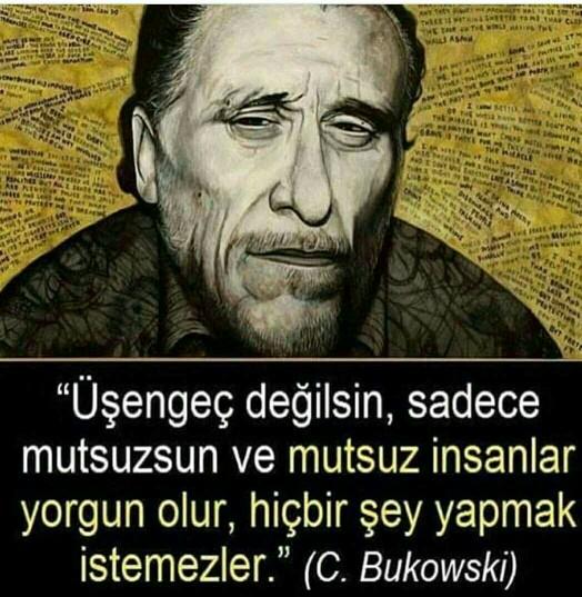 Üşengeç misiniz? Sizce üşengeç insanlar daha zeki mi oluyor yoksa mutsuz mu??
