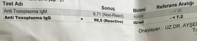 Toksoplazma gondii testi hakkında bilgisi olarak var mı? Bu test sonucu ne demek ?