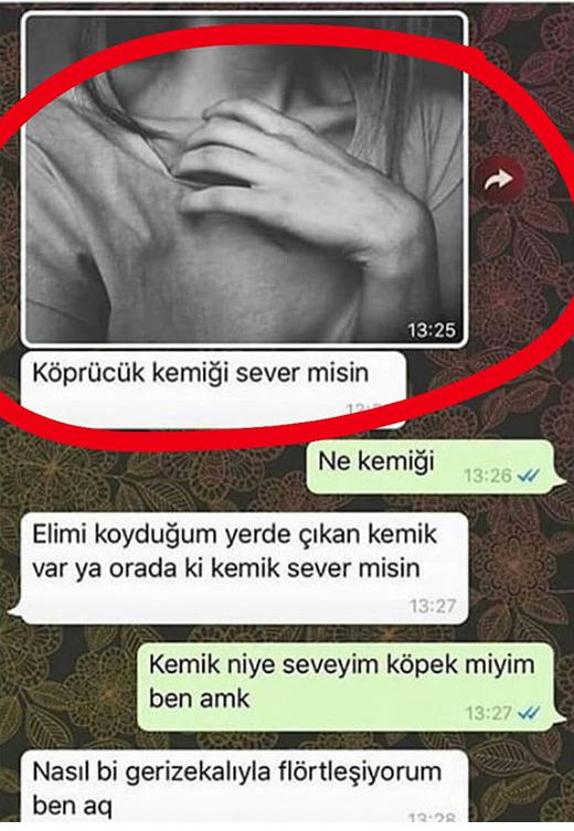 Köprücük kemiği sever misiniz :) ?
