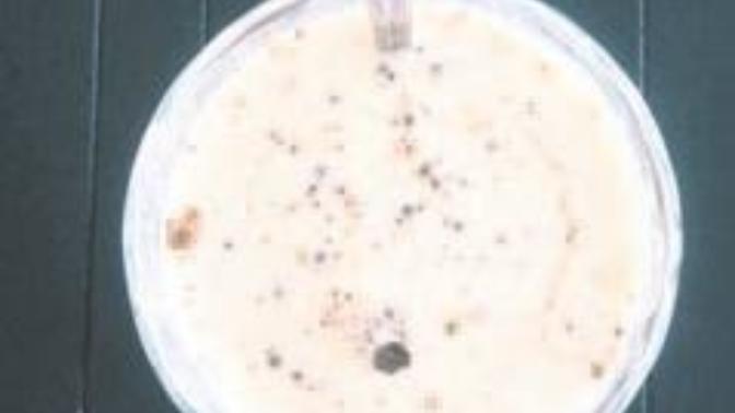 Bensu Soral form tutma sırrını açıkladı ! Her sabah Kefir, zerdeçal, karabiberli içecek tüketmek.. Siz bunları tüketir misiniz?