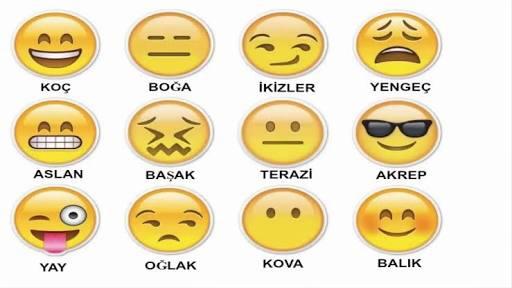 Burcunu Söylemeden Emoji ile Anlat Desem☺️?