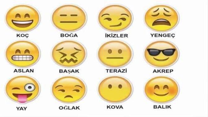 Burcunu Söylemeden Emoji ile Anlat Desem☺️?