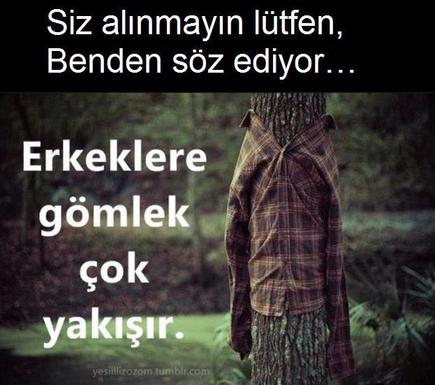 Sizin mezar başınıza hangi ağaç dikilsin?