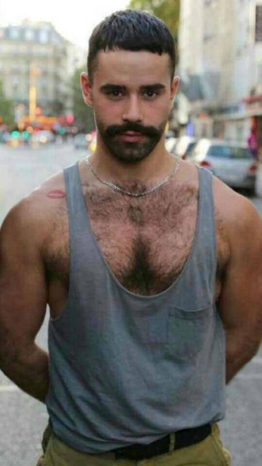 Şöyle Bir Latin Bear Gay Sevgili Mi Bulsam??