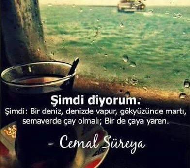 "Bir deniz,denizde vapur,gökyüzünde martı,semaverde çay olmalı." ise siz söyleyin bakalım hangisi eksik hayatınızda?