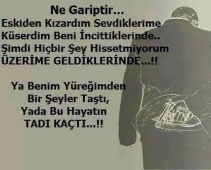 Neden sitem edersiniz? ya da neye?