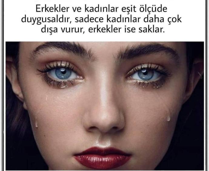 0b06ba41-96ec-4cd7-9e82-04ef92c5e9b8.jpg