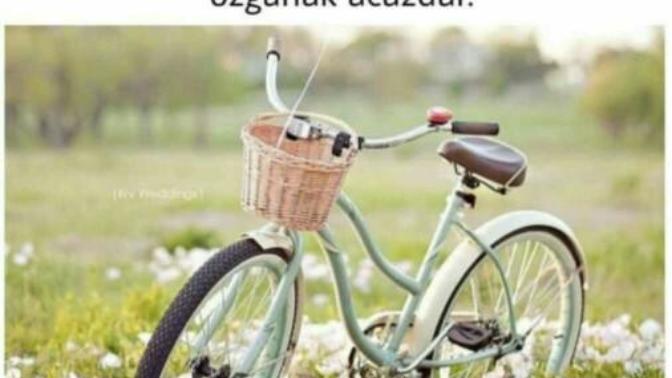 Sizce özgürlük nedir?