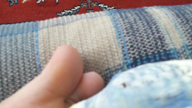 Kuşum sapık olabilir mi?