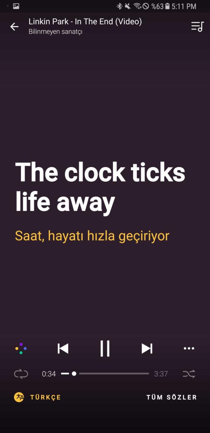 Kendini acındıran insanlar tehlikeli insanlar mıdır🙄?