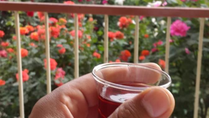 Günaydın😉 sabahlar güzelmi gelin size balkonda çay ismarlayayim rengarenk gül manzaralı😍 içecekmisiniz?